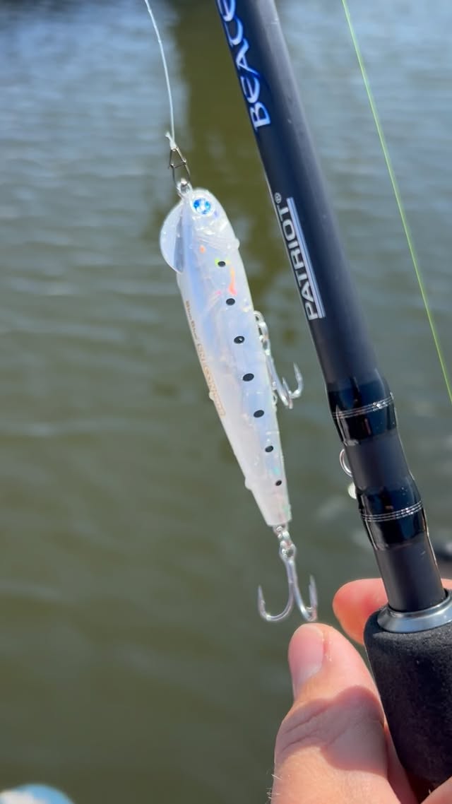 Instagram post by @charlies.fishing.official for BlueBlue Fishing. Caption reads: Have you ever seen a bait like this? 😤 This is....