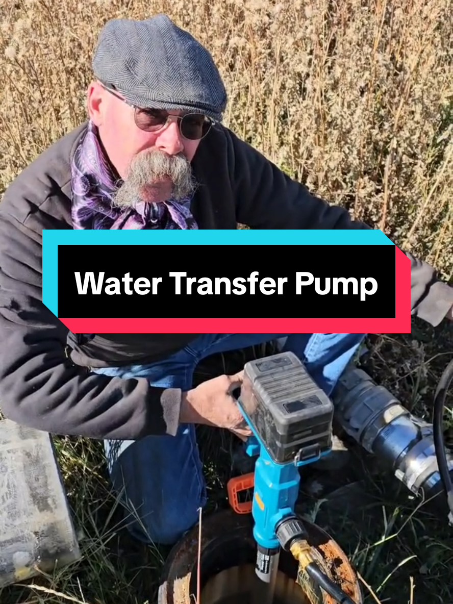 TikTok post by @ash.and.misty for Seesii. Caption reads: [...] #tiktokshopcreatorpicks #cattle @SEESII....