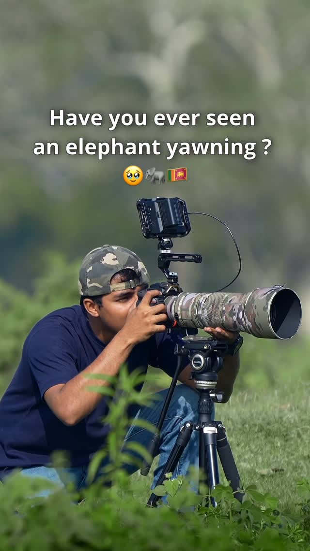 Instagram post by @ravisara.jayamanna for SmallRig. Caption reads: One of the beautiful moments I have ever seen in....