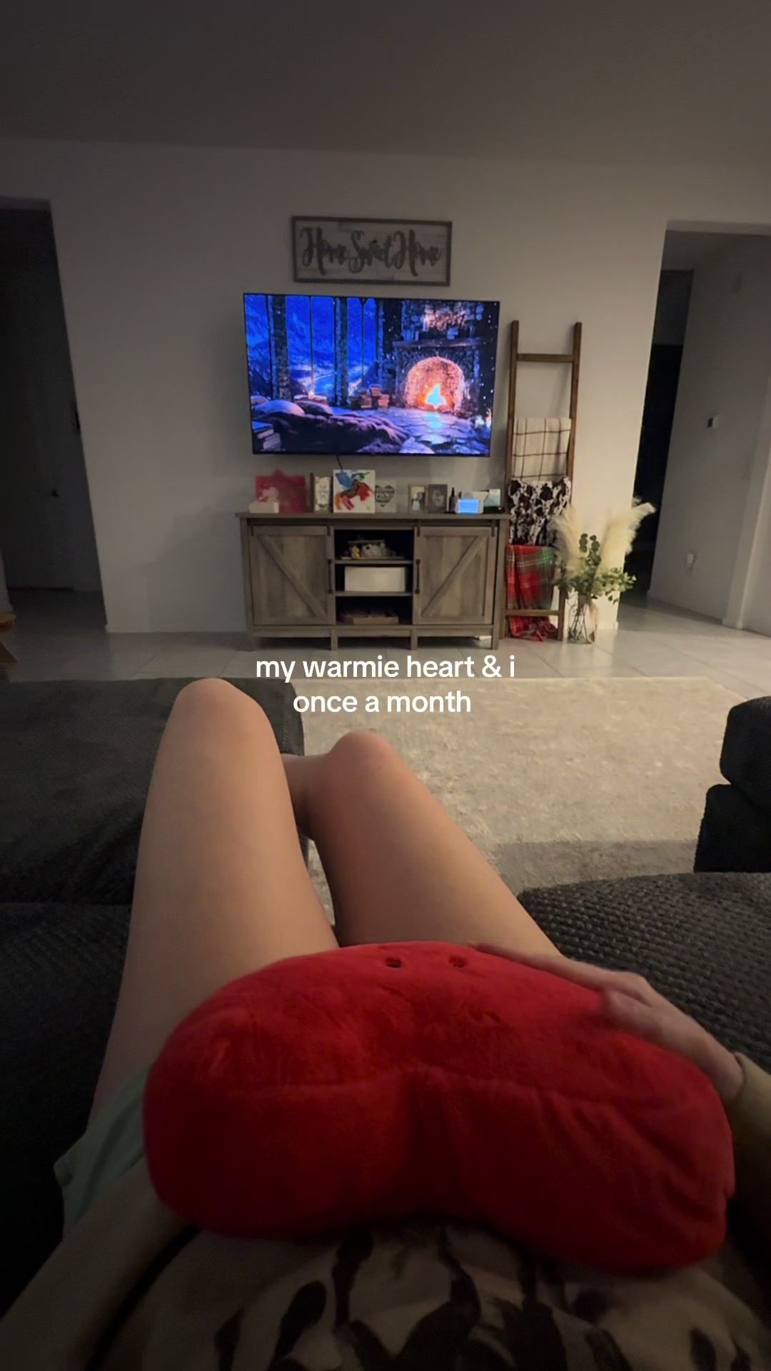 TikTok post by @jaycielyne for Warmies. Caption reads: [...] cute and great for valentine’s day js....