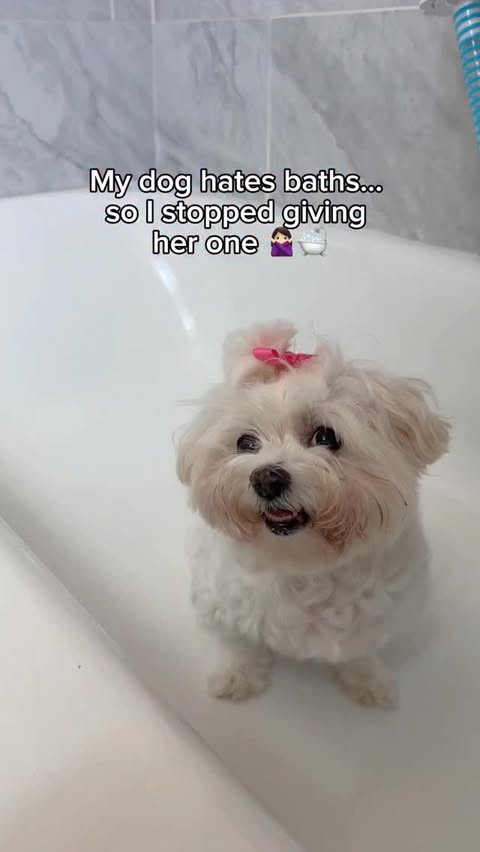 Instagram post by @babblinbarb for Earth Rated. Caption reads: [...] said NO to baths 🙅‍♀️🛁, but YES to....