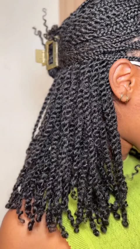 Instagram post by @semascreation for Aunt Jackie's Curls & Coils. Caption reads: Keeping my mini twists soft, shiny, and frizz-free....
