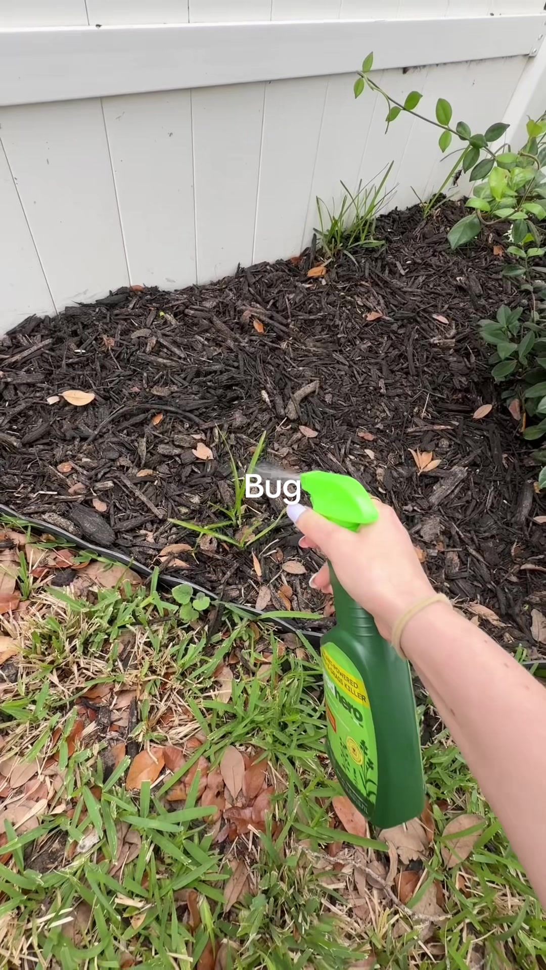 TikTok post by @jaynagloverpz for BugMD. Caption reads: [...] this up or order for in store pick up!....
