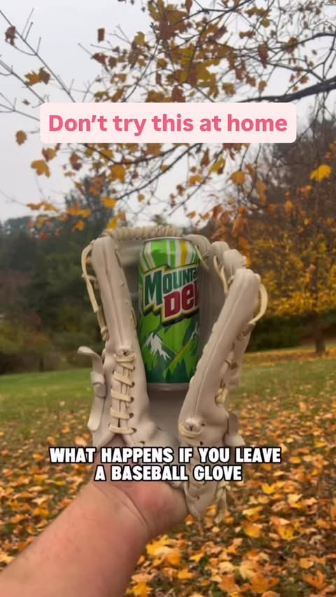 Instagram post by @whiterosebaseball for Plate Crate. Caption reads: This glove has SEEN SOME STUFF Plate Crate - 20%....