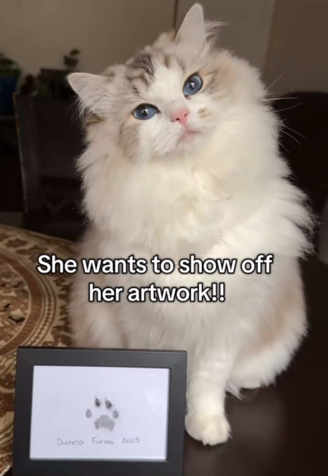 TikTok post by @duchessfurina for Larleaf. Caption reads: [...] to do with your fur baby! Thank you @Larleaf....