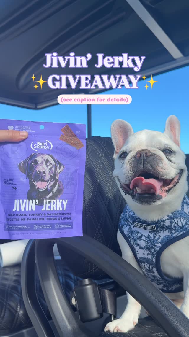 Instagram post by @mallowfrenchie for NutriSource Pet Foods. Caption reads: Giveaway now closed‼️

✨3 WINNER GIVEAWAY✨

This....