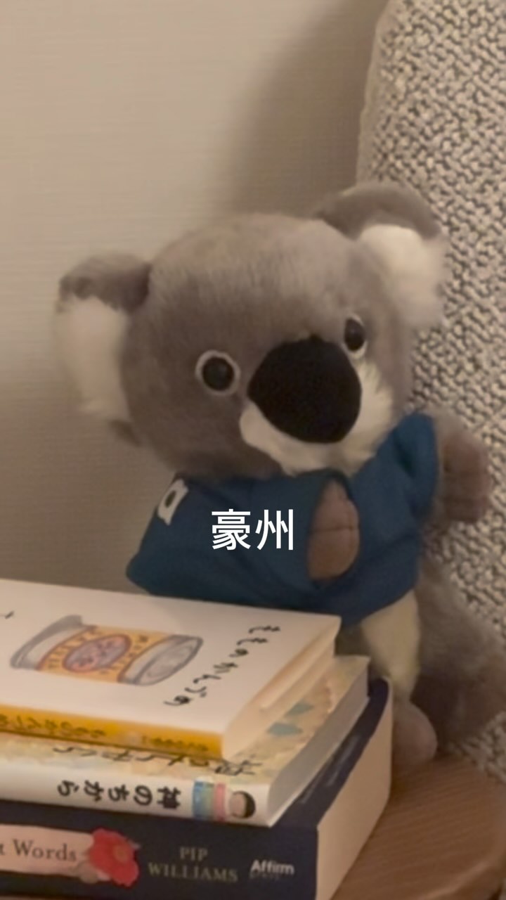 Instagram post by @gorillasan_no_kitchen for Koala. Caption reads: コアラマットレス🐨

2ヶ月ほど使っているが、非常に良い🥰
寝起きに身体がカチカチ...って事が....