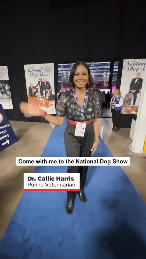 Instagram post by @dr.callieh for Purina. Caption reads: This Thanksgiving, Purina Veterinarian @dr.callieh....