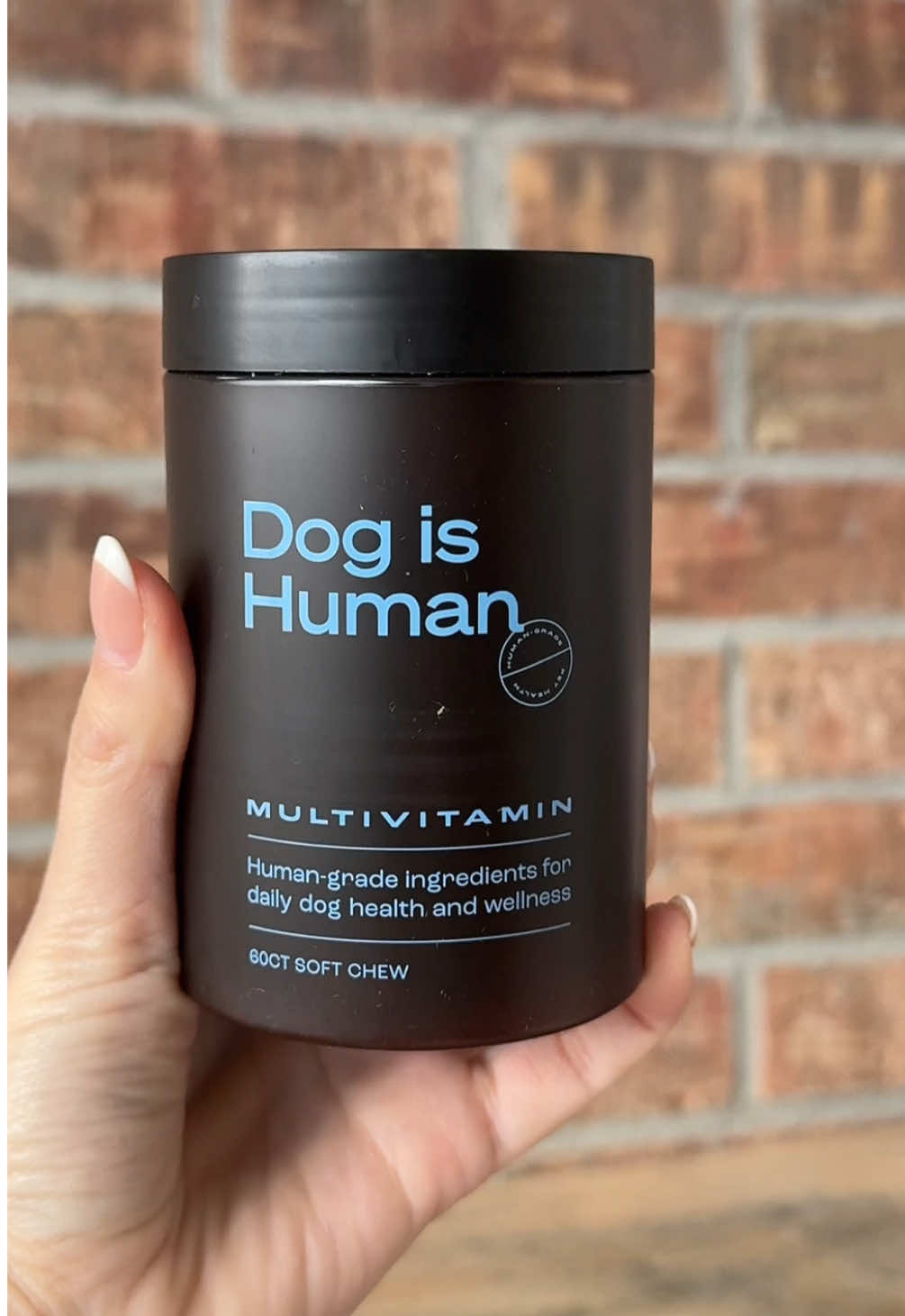 TikTok post by @megankirkk for Dog is Human. Caption reads: Diva just got sent Dog is Human’s multivitamin to....