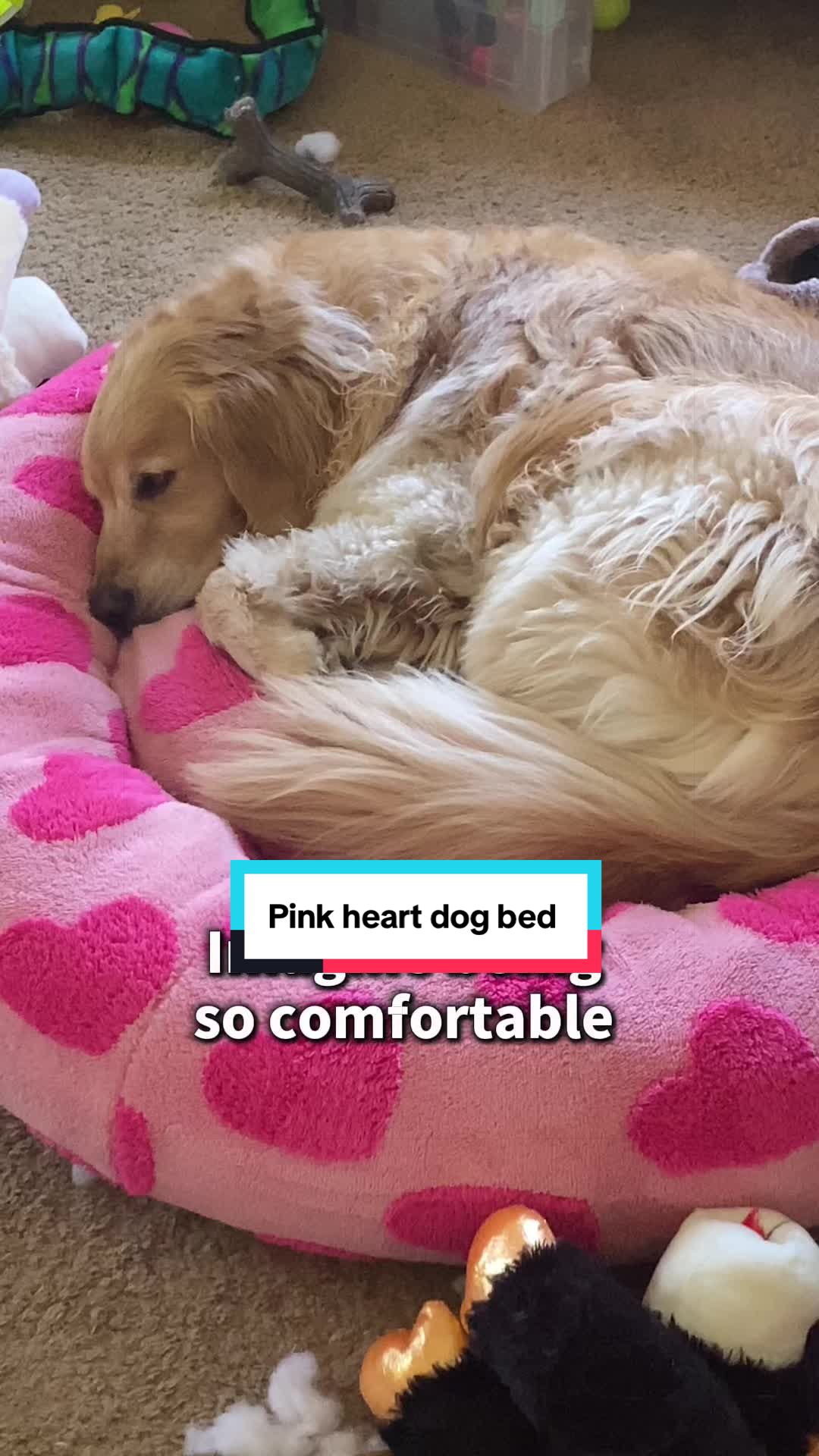 TikTok post by @london.sofia.the.golden for Lesure Pet. Caption reads: [...] her pink heart bed in size large by @Lesure....