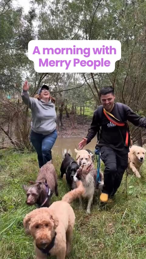 Instagram post by @walkswitholli for Merry People. Caption reads: [...] 🍃 A special morning adventure with....