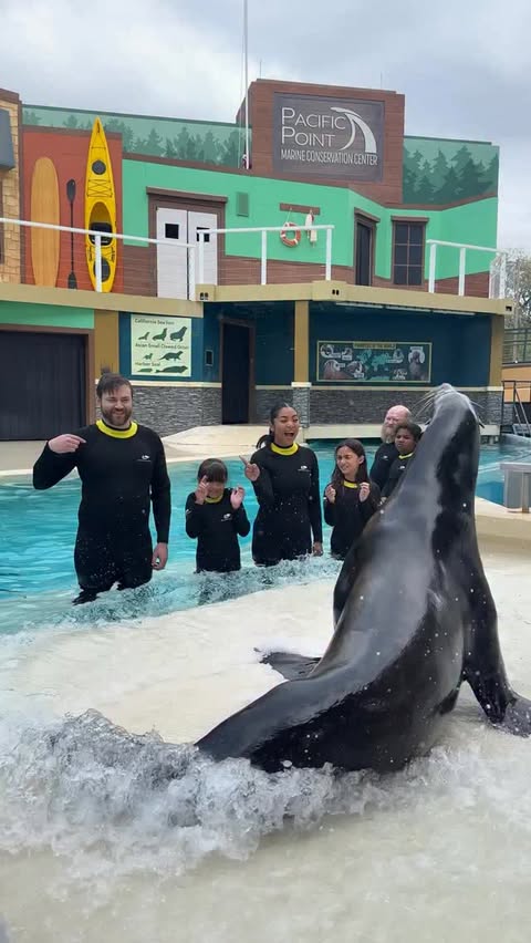 Instagram post by @adri.around.town for SeaWorld. Caption reads: [...] when is the last time that you visited....