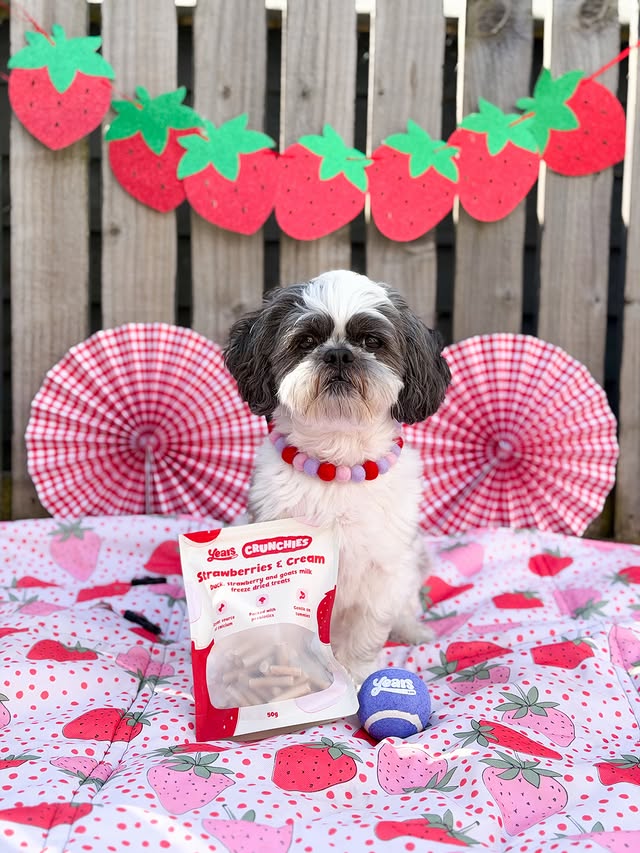 Instagram post by @nevil_the_shihtzu for More Years. Caption reads: Treat Tuesday 🍓😋 I’ve finally tried @yearsuk....