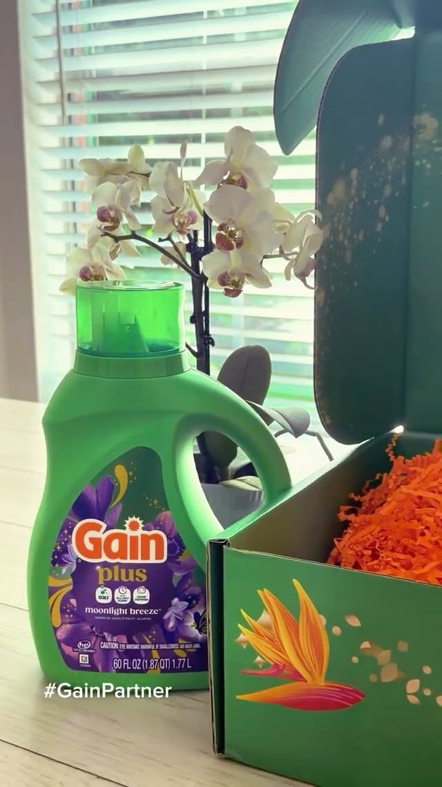 Instagram post by @withdemi_ for I Love Gain. Caption reads: [...] for a next-level clean🫧 #GainPartner....