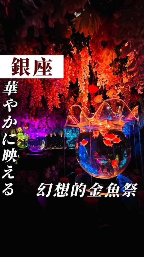 Instagram post by @yu_i_nsta for ARTAQUARIUM. Caption reads: [...] 【美術館】 アートアクアリウム美術館 GINZA....