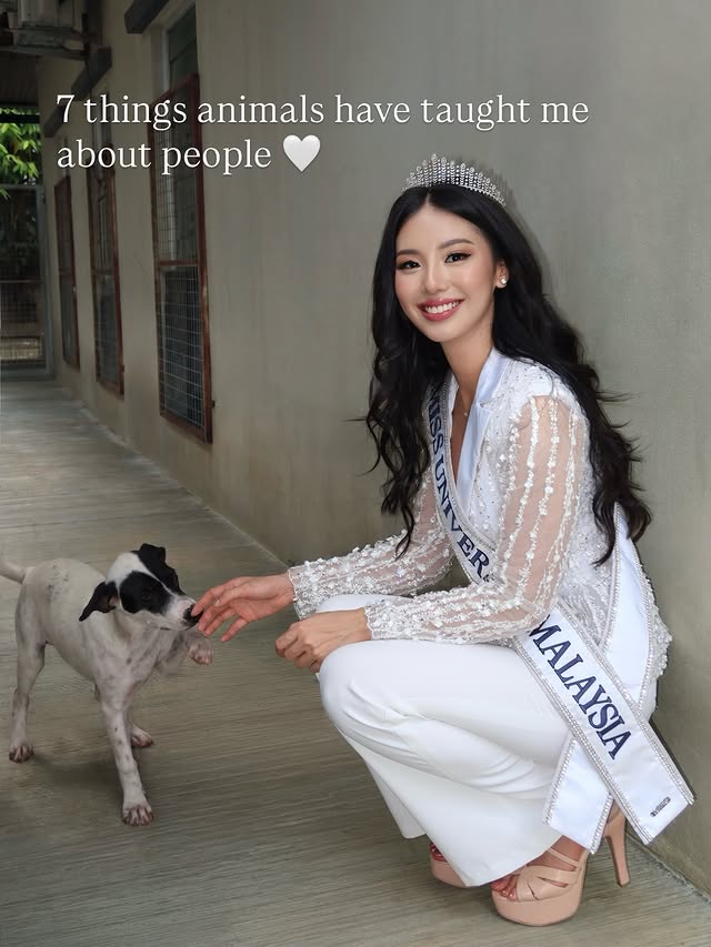 Instagram post by @malaysia.ratu for Miss Universe. Caption reads: [...] me about people ❤️ #spcaambassador....