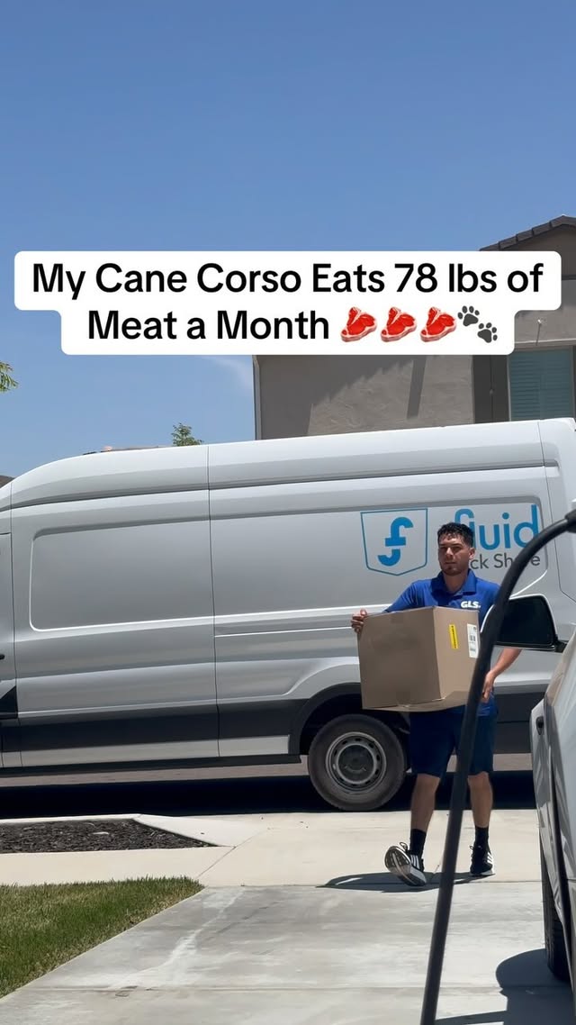 Instagram post by @raisingbane for Viva Raw. Caption reads: Use code “BANE20” for 20% off your firstVivaRaw....