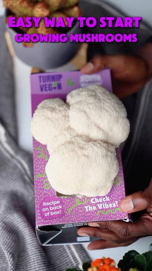 Instagram post by @turnipvegan for North Spore. Caption reads: [...] at home using The Turnip Vegan X North Spore....