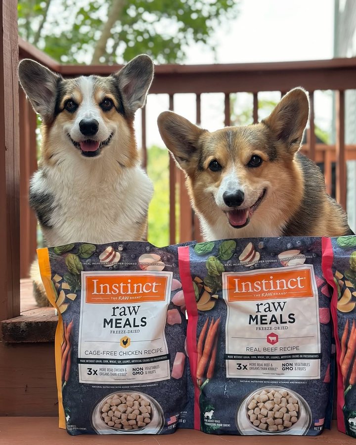 Instagram post by an influencer for Instinct Pet Food. Caption reads: We’re partnering with @instinctpetfood for our 2....