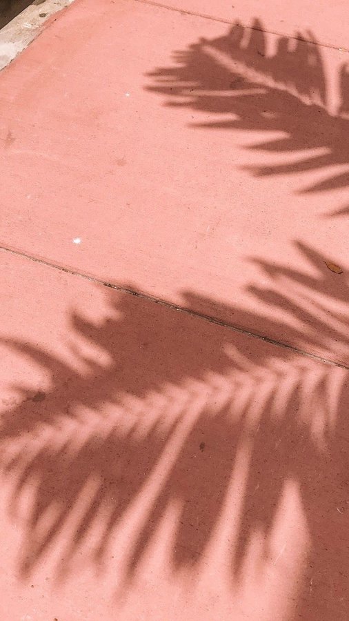 Instagram post by @gabyteemua for Alamar Cosmetics. Caption reads: Manifesting a future where these #AlamarCosmetics....