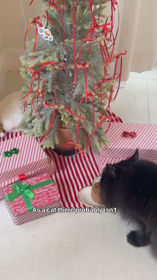 Instagram post by @daniklaric for Fancy Feast. Caption reads: #ad making this years holidays really special for....