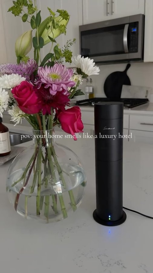 Instagram post by @aishapatelstyle for Scentiment. Caption reads: A home that smells good....