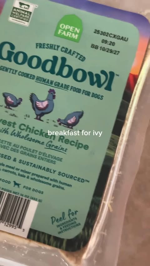 Instagram post by @imgoldenivy for Open Farm Pet. Caption reads: [...] life 🤍 #openfarmpartner
get 40% off....