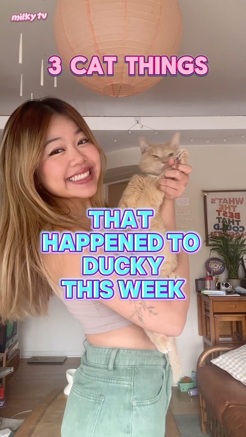 Instagram post by @milkytran for Skout's Honor. Caption reads: [...] play Ducky in this movie?  #sponsored....