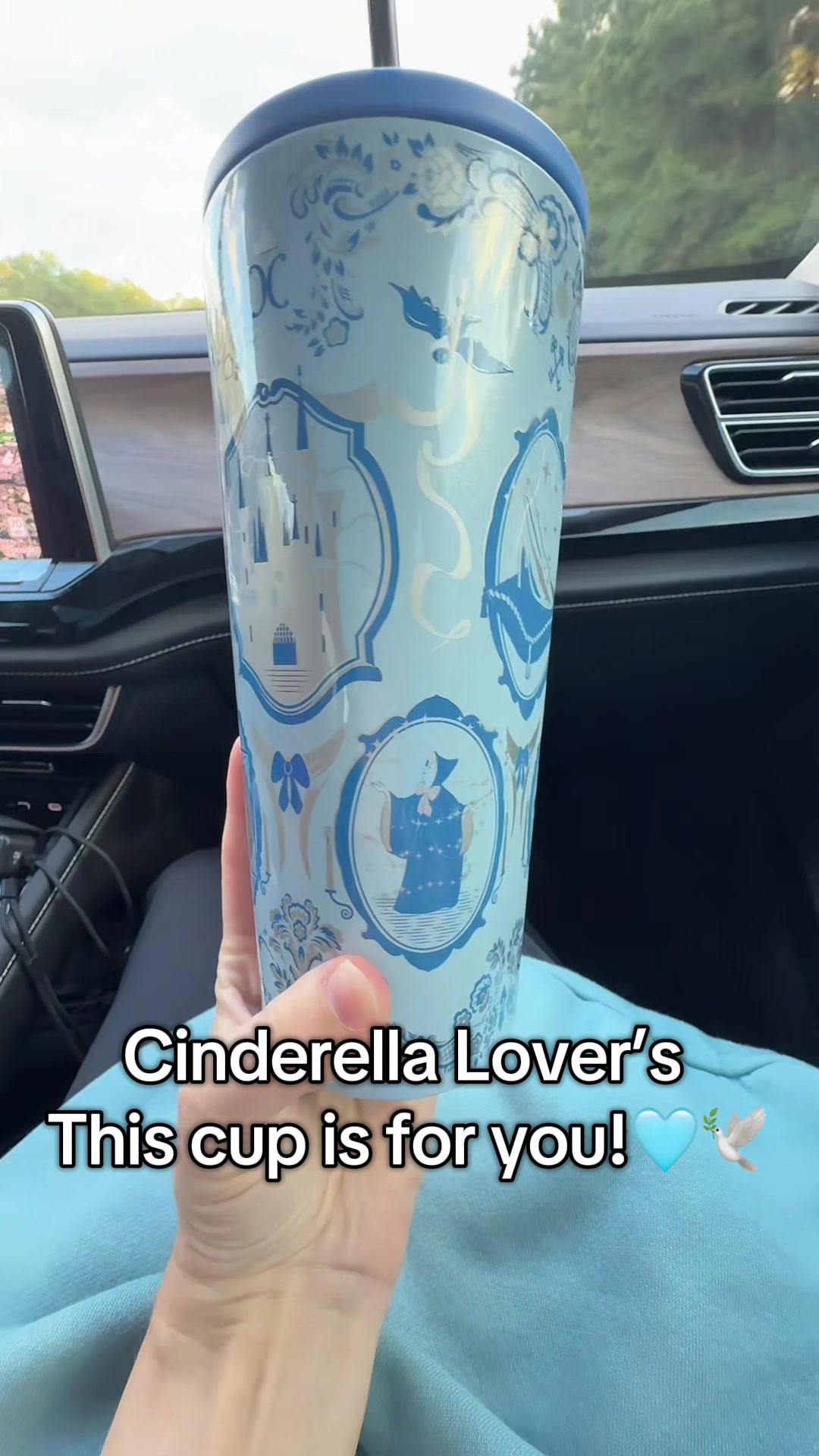 TikTok post by @adventuresbylynds for Corkcicle. Caption reads: @Corkcicle has done it again! How adorable is this....