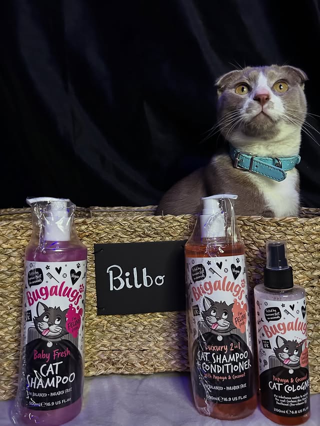Instagram post by @billybillbaggins for Bugalugs Pet Care. Caption reads: Bilbos essentials thanks to @bugalugspetcare! Even....
