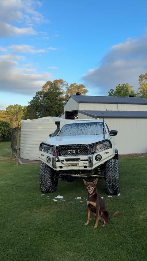Instagram post by @np42_ for Giraffe Tools. Caption reads: Been using this @giraffetools.au pressure washer....