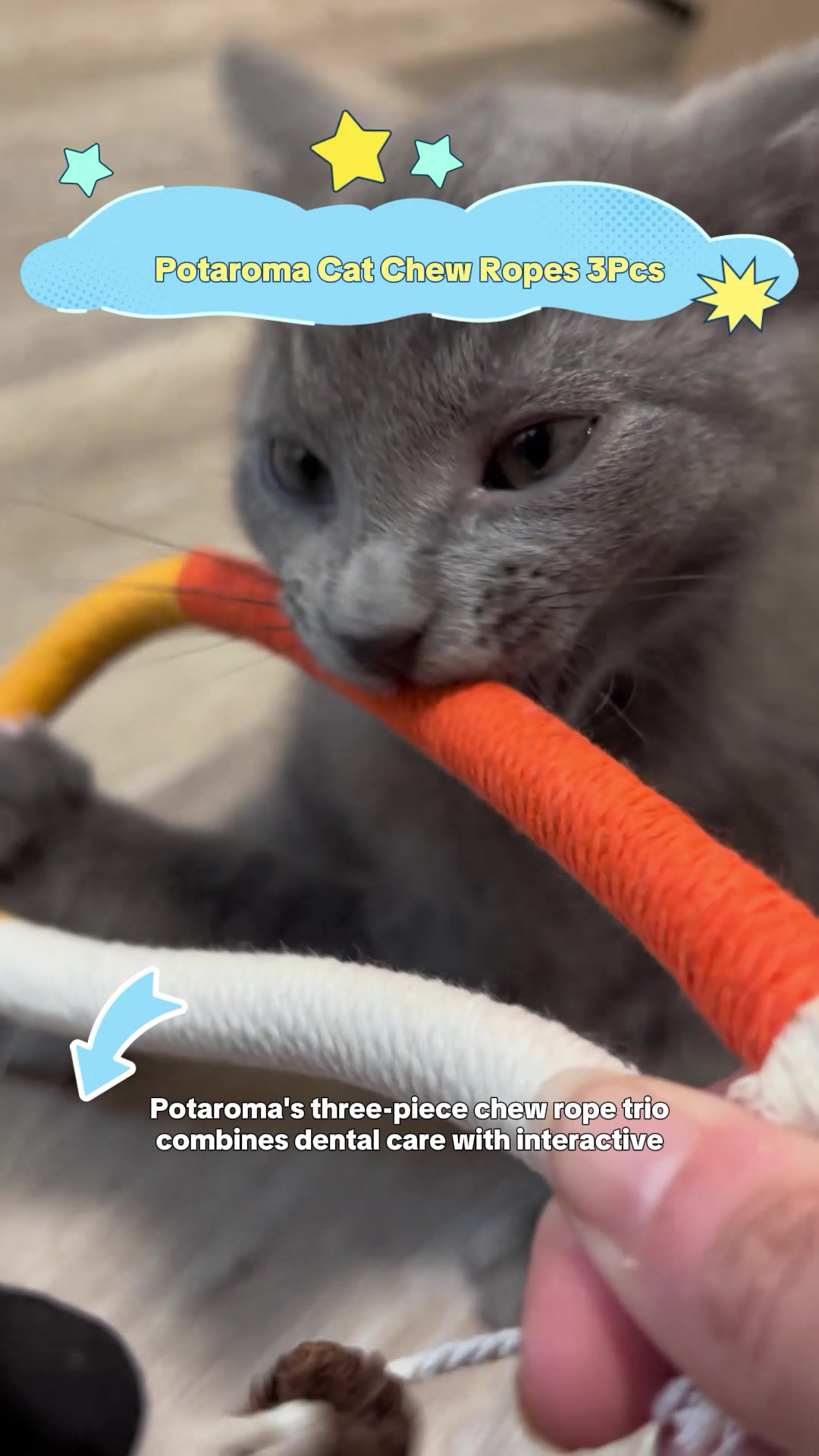 TikTok post by @emookitkats for Potaroma. Caption reads: [...] dental care! #kitten #cat #tiktokshop....