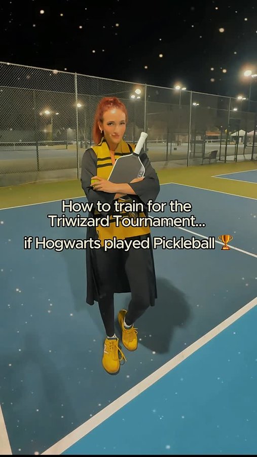 Instagram post by @sydneysteinaker for Harry Potter. Caption reads: [...] House are you training with? 🦁🦅🦡🐍....