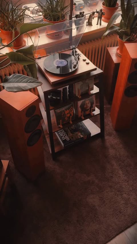 Instagram post by @vinyl_in_days for FITUEYES. Caption reads: [...] I’m upgrading my second setup with the....