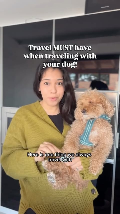 Instagram post by @remyaroundtheworld for Tractive. Caption reads: [...] travels are made even better with @tractive....