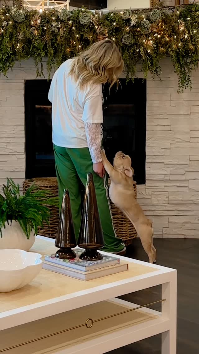 Instagram post by @thedowntownaly for BarkBox. Caption reads: Comment BARK! Every month feels like Christmas....