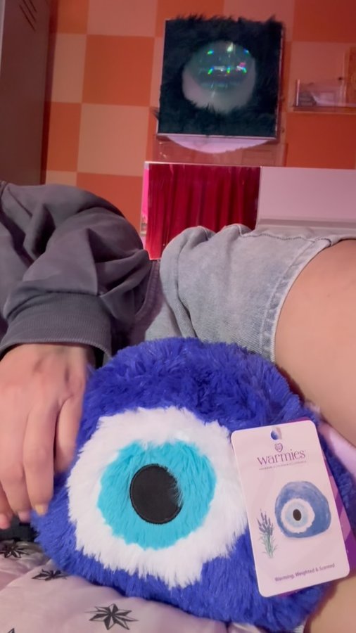 Instagram post by @aggielang for Apartment Therapy. Caption reads: AD| @warmies_official 

Cozy meets protection.....