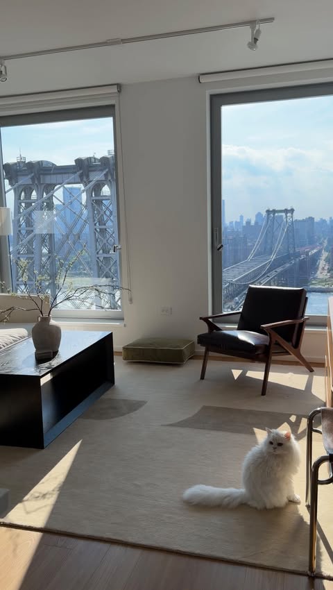Instagram post by @cleothecitykitty for Apartments.com. Caption reads: [...] NYC is not for the weak 😅 We used....