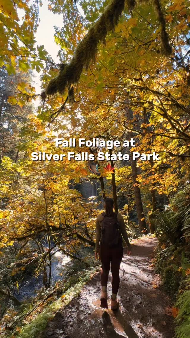 Instagram post by @wander.with.bri for Travel Oregon. Caption reads: Stop what you’re doing and get outside in Oregon....