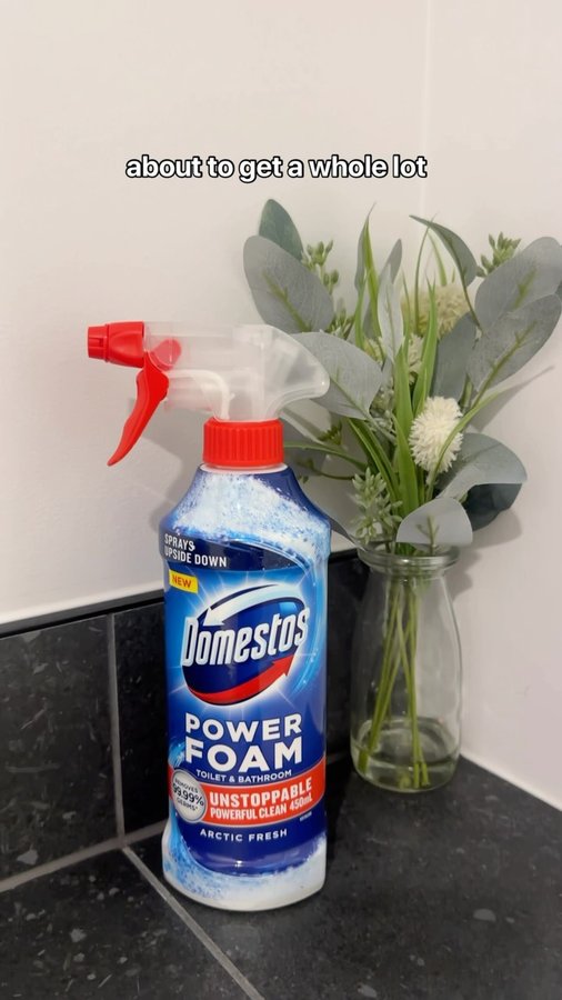 Instagram post by @bargain_homewares for Domestos. Caption reads: [...] the bathroom has never been easier with....