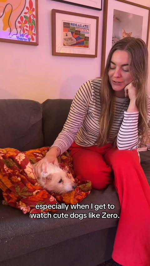 Instagram post by @tellingourtails for Earth Rated. Caption reads: I love being a dog auntie & @earthrated products....