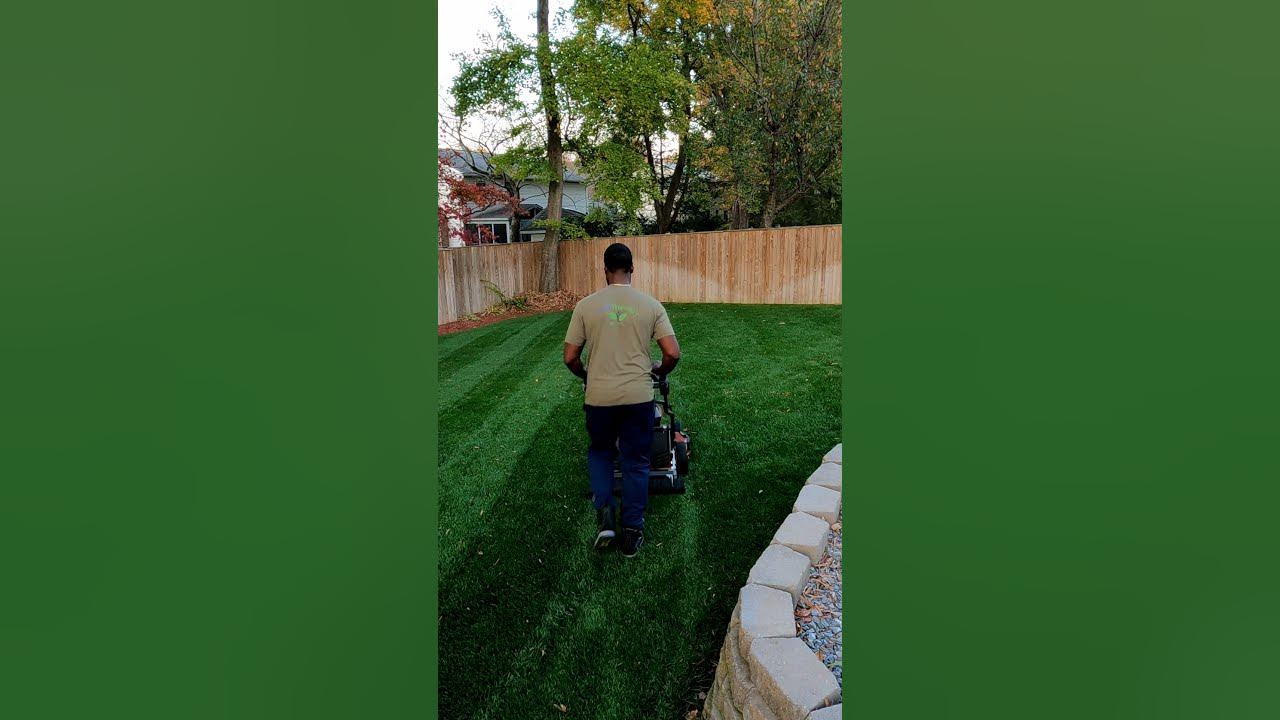 YouTube post by @ElevatedLawnscapes for Simple Lawn Solutions. Caption reads: Fall Lawn Color Is HERE w/ Elevated Lawn Mix....