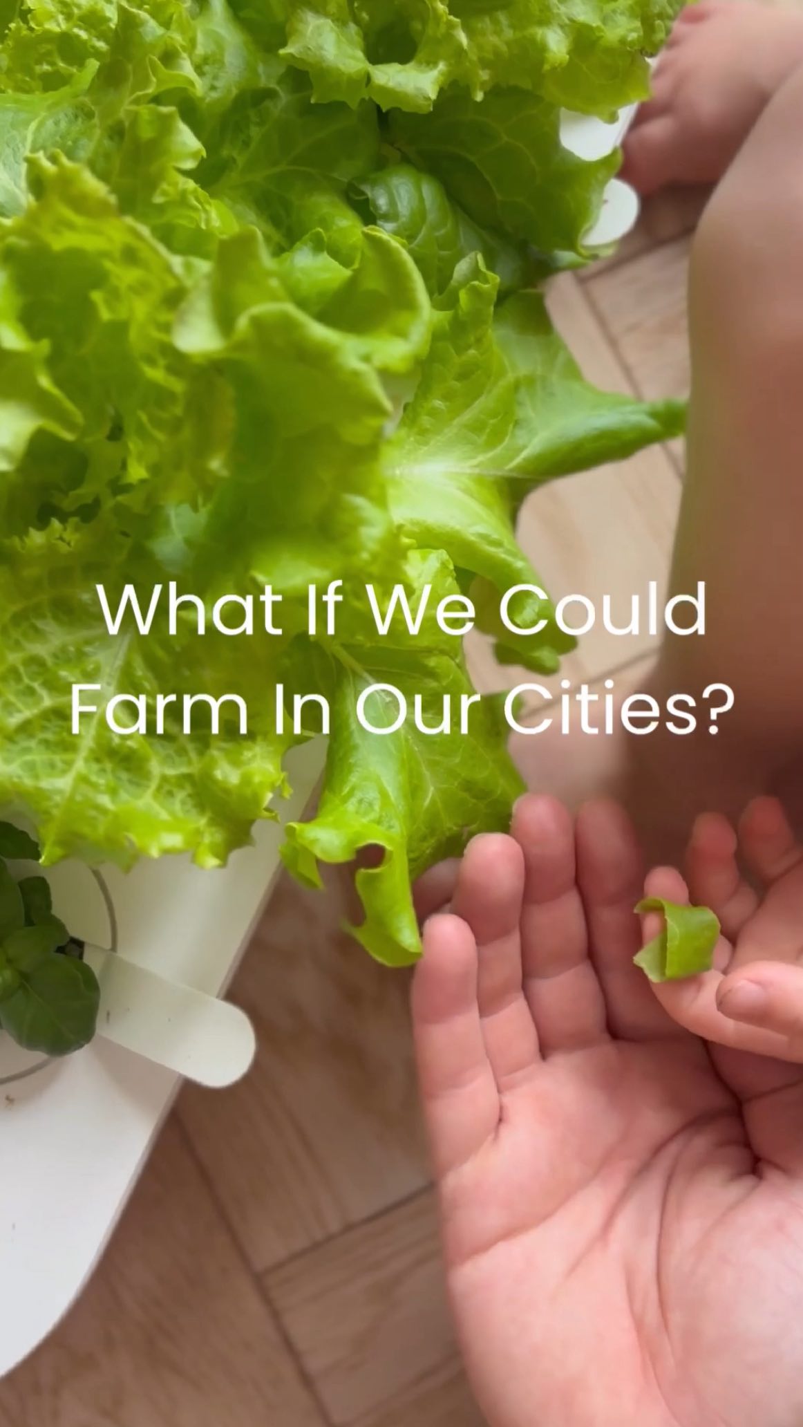 Instagram post by @emmitasandrade for Click and Grow. Caption reads: [...] made so much sense to partner with....