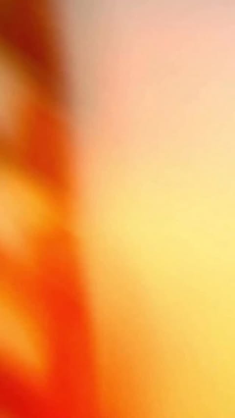 Instagram post by @iloswork for Bloomingdale's. Caption reads: Holiday shopping, but make it luxury 🥂🎁
I had....