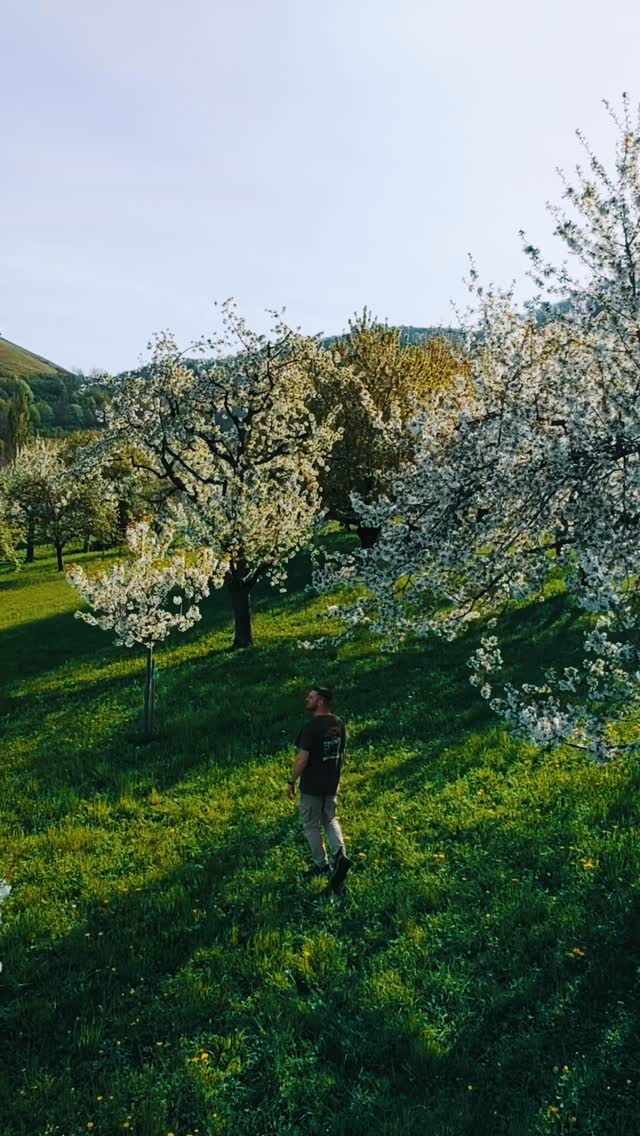 Instagram post by @tom_juenemann for HOVERAir. Caption reads: [...] Norway and mountain lakes in Italy 🌍....