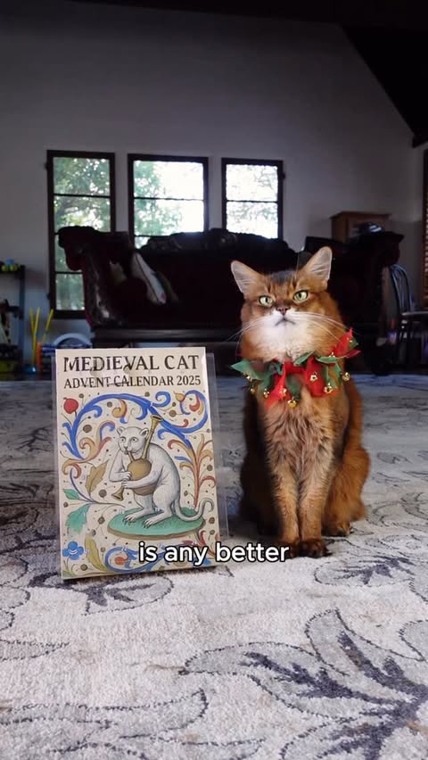 Instagram post by @summerstravels for Cameo. Caption reads: Once again I’m late getting in today’s entry of....