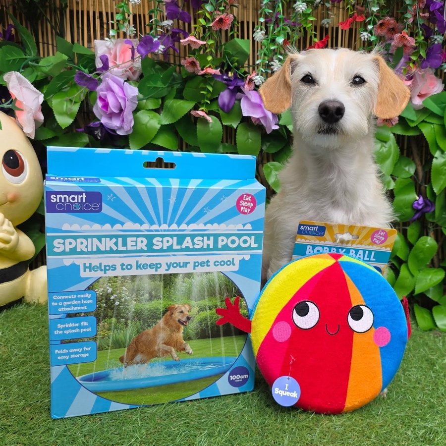 Instagram post by @bea_russell2021 for Happy Tails Hampers. Caption reads: [...] splash pool and frisbee ball from....