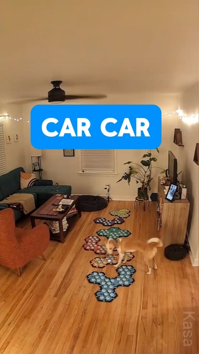 Instagram post by @puppyparkerposey for FluentPet. Caption reads: [...] Parker had to chat about it. 🚗 #fluentpet....
