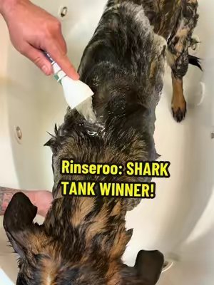 TikTok post by @no.niche.nickie.b for Rinseroo. Caption reads: @Rinseroo™ #rinseroo #bathtime.