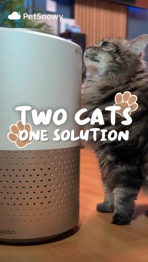 Instagram post by @pressnattostart for PetSnowy. Caption reads: [...] 𝗠𝗲!🐾 𝘈𝘋 | @petsnowy_official Living....